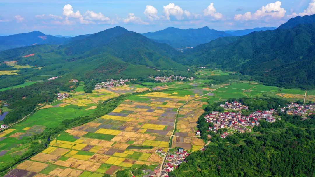 创建吨粮田，要下足绣花功夫！